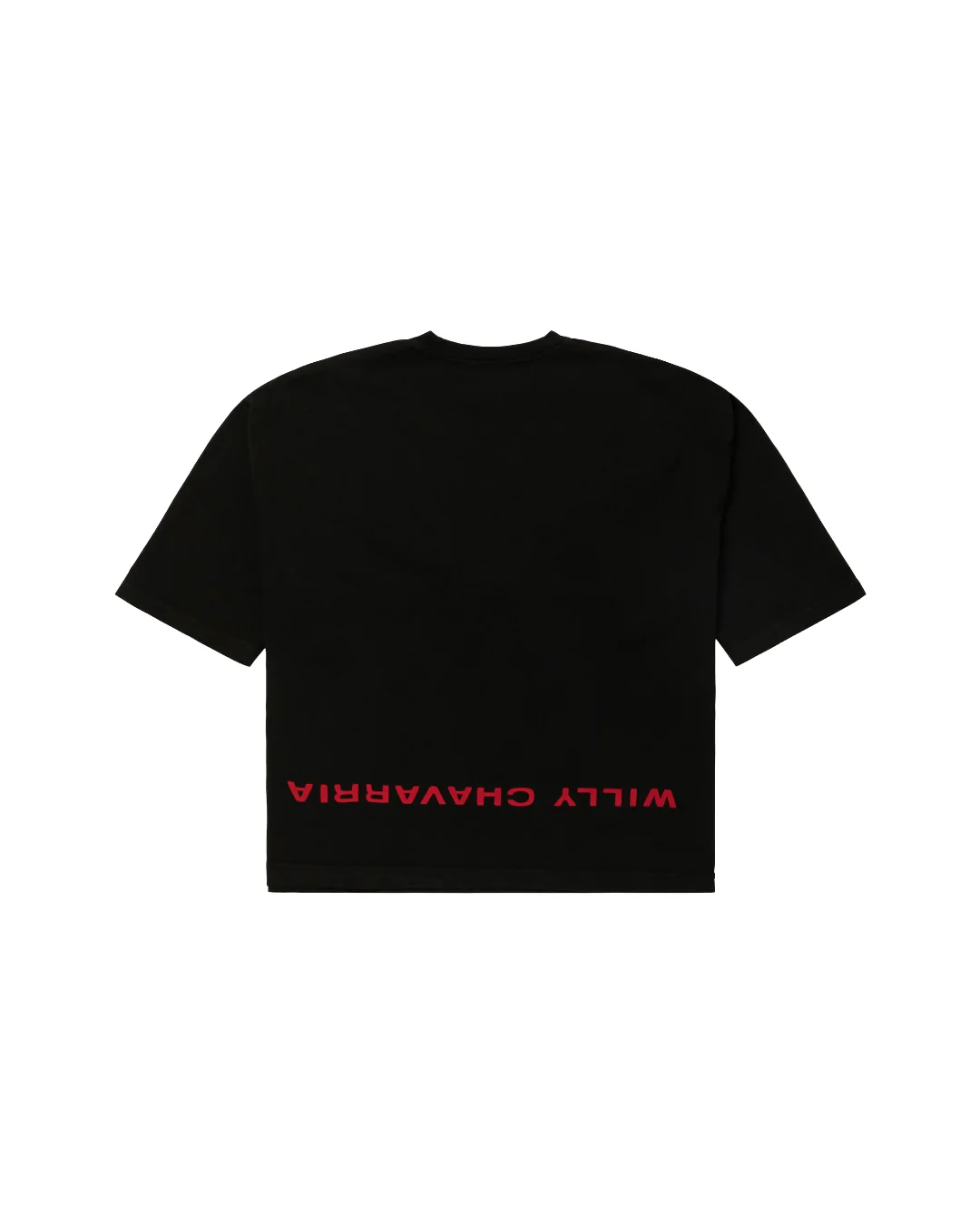 WELCOME TO AMERICA BUFFALO TEE - Image 2